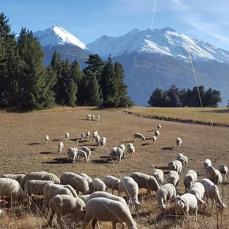 Ciamarella Hébergement de vacances